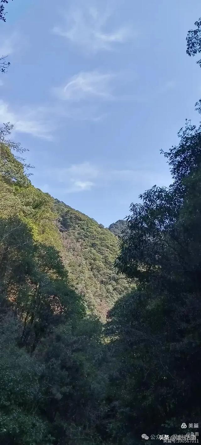 五次试走，终于揭开楠溪江源头永仙边界这条防火道的神秘面纱！