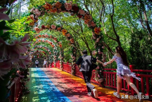 秋季爬山正当时！秦皇岛12座绝美山峰好爬不累景色美！