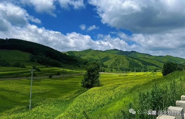 浑源县东葫芦头村：油菜花海引客来 清凉乡村醉游人