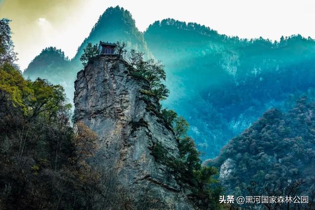 绿野仙踪+山水秘境!快来黑河抓住夏天的尾巴,奔赴一场绿意清凉之约