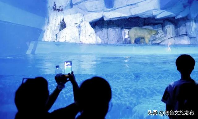 【乐游烟台】夏日顶流！烟台这座神仙小城也太会拿捏松弛感了