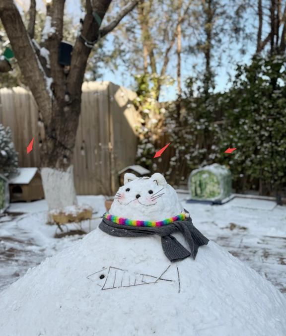 姚晨和儿子在北京别墅堆雪人，儿子土豆越长越帅，院子里都是猫窝