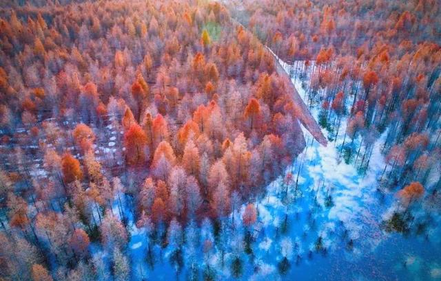 皖南川藏线金秋自驾指南:邂逅江南最绚烂的120公里!