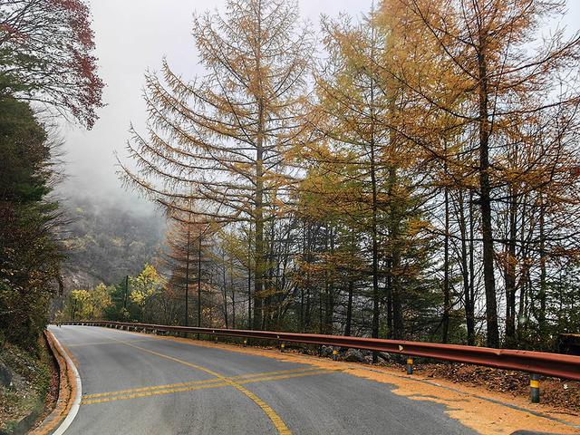 2024深秋四川行19 神农架风景区2 华中屋脊的五彩秘境