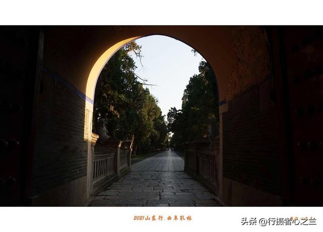 山东行游影记（228）—曲阜孔林（四）