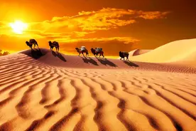 你咋还不信中医-10：六字真言的秘密图片