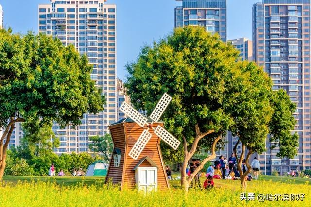 黑龙江宜居城市新观察：伊春如何成为东北康养新地标？