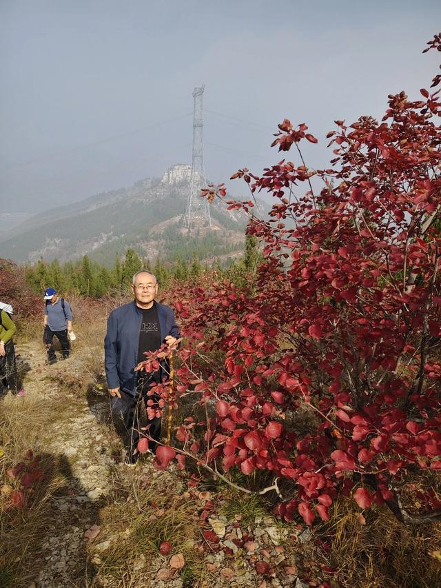 去博山盆泉张丹顶赏红叶