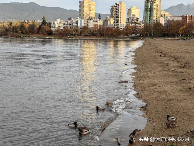 温哥华游记（一）