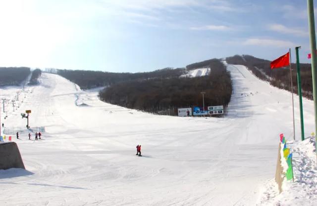 大雪已至 龙江皆雪趣
