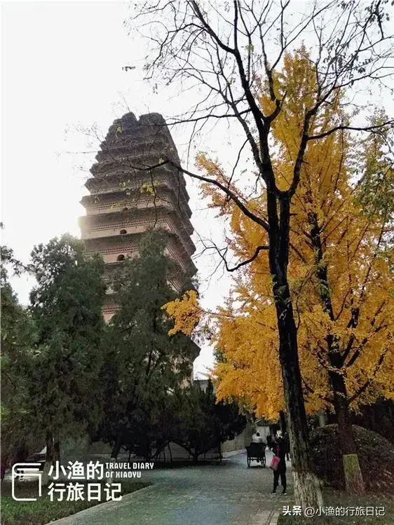 西安闹市四季皆美的秘境，秋色已斑斓！地铁直达0门票