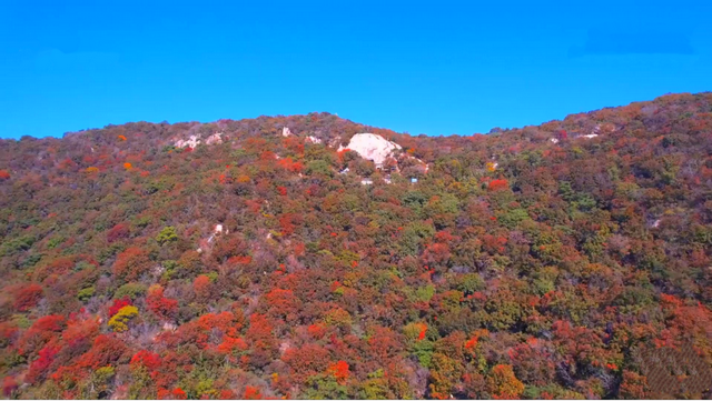 初冬漫游莱州：藏在胶东的千年风情与限定浪漫