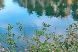 老人遇到看不惯的儿媳、女婿，不要讨好，记住三句俗语就够了图片