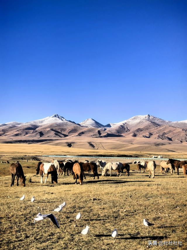 二刷南疆环线｜从喀什到唐布拉，自驾攻略+绝美小众点全奉上