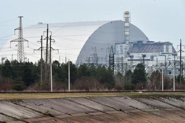 突变？切尔诺贝利发现蓝色的狗！是被核辐射变异了吗？