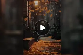 一首老歌：繁花《偷心》，张学友完整版！一起来听听吧图片