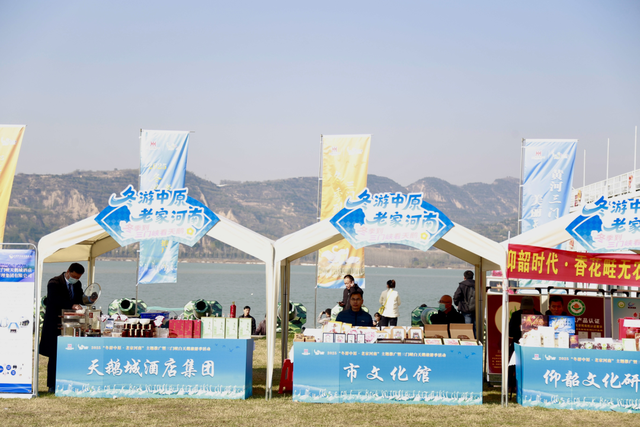 冬游中原好风光！来和天鹅一起过冬吧