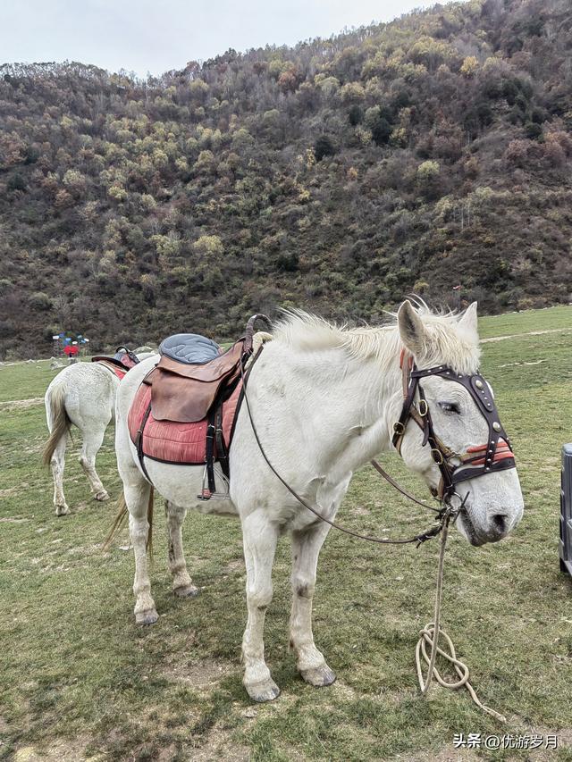 秦岭狮子沟牧场&牛奶湖