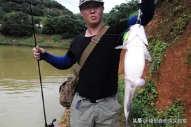 钓鲶鱼的5个要领，学会后经常钓到大鲶鱼图片