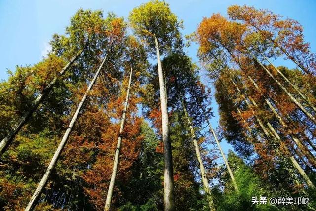 10月29日，开启乐游天台山不限量徒步活动！速来围观！