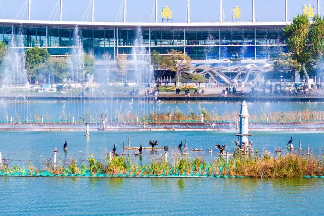 国家生态文明示范区系列报道丨于城市之心，写共生之诗