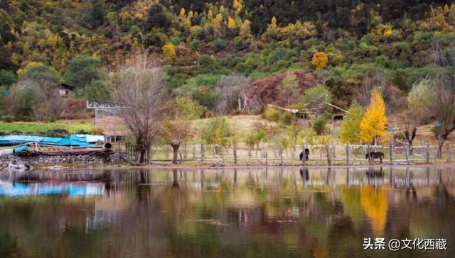 秋天不去西藏玉许乡，真的会遗憾一整年！3日沉浸式漫游指南送你！