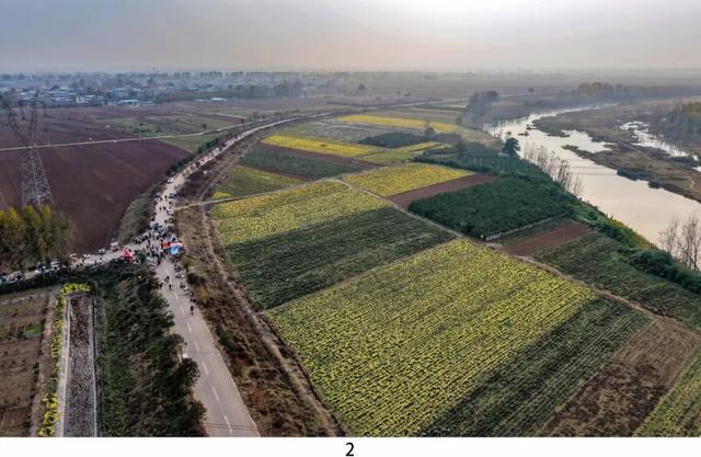 藏不住了！平顶山季节限定花海，错过等一年