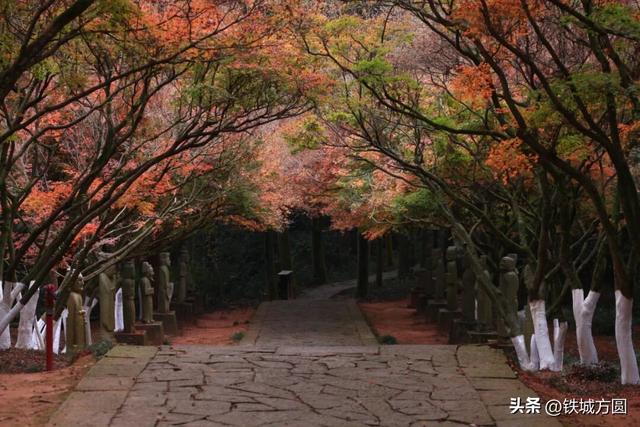 熙春公园——枫映古台 文脉流芳