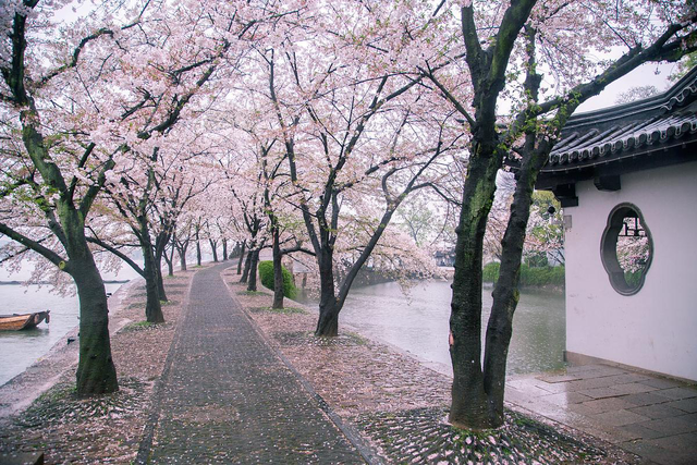 踏迹寻旅：一座被时光遗忘的秘境上海复兴岛