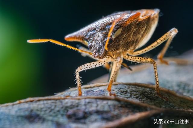 70岁老哥组团骑漠河，2个月后大吐苦水：不是骑行是渡劫！