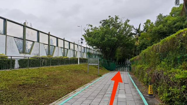 福田红树林自然保护区入口调整，最新交通指引速览！