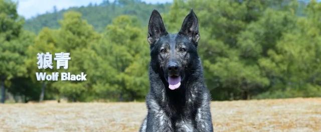 昆明：走遍天下的金字招牌