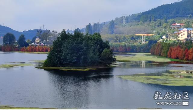 山水入画秋意来