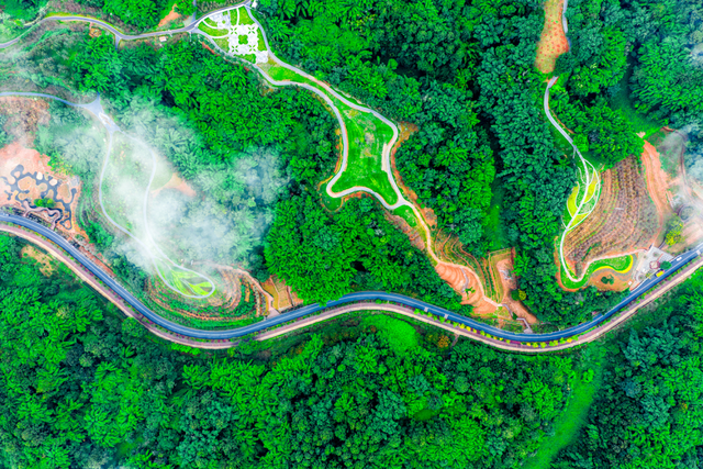 国庆寻幽：邂逅乐山绿心海棠盛景，漫步九大诗境画卷