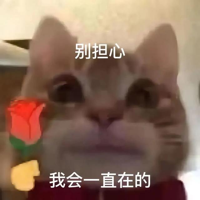 表情包 | 退网了 令人心寒