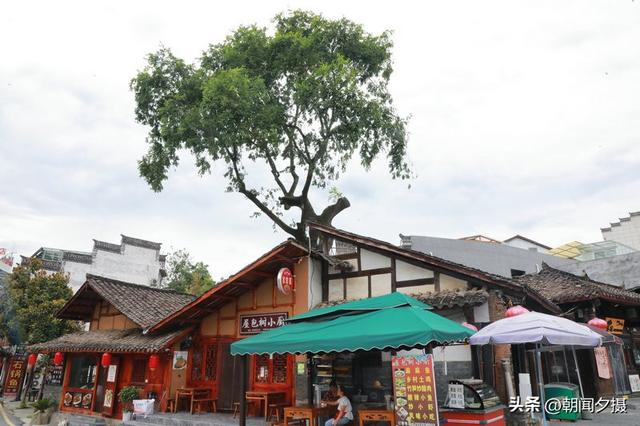逛老街游后柳水乡、鬼谷岭，在石泉休闲度假好安逸