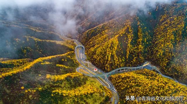 秋色漫卷海东，一场山水林间的浪漫叙事