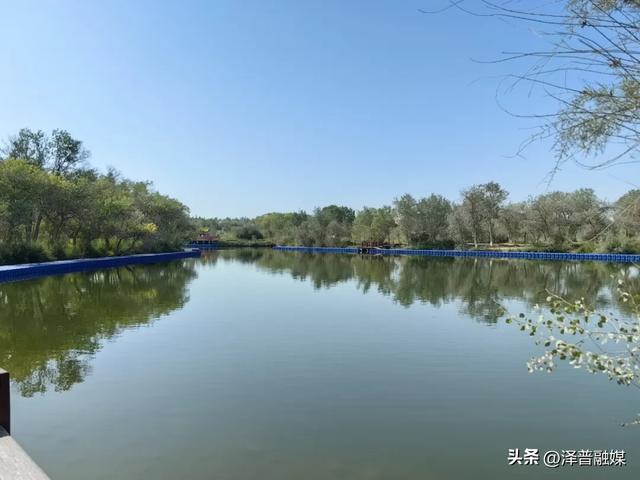金湖杨国家5A级旅游景区改造升级 开启旅游发展新篇章