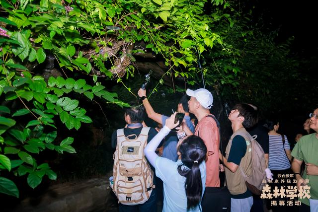 广州亲子研学，夜游植物园，走进大自然的夜课堂