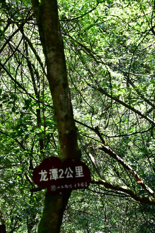 镇远铁溪龙王嫁妹美丽的传说（一）
