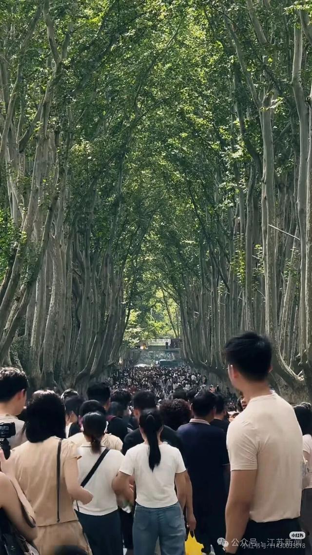 人人人你人人人！名场面又双叒叕来了