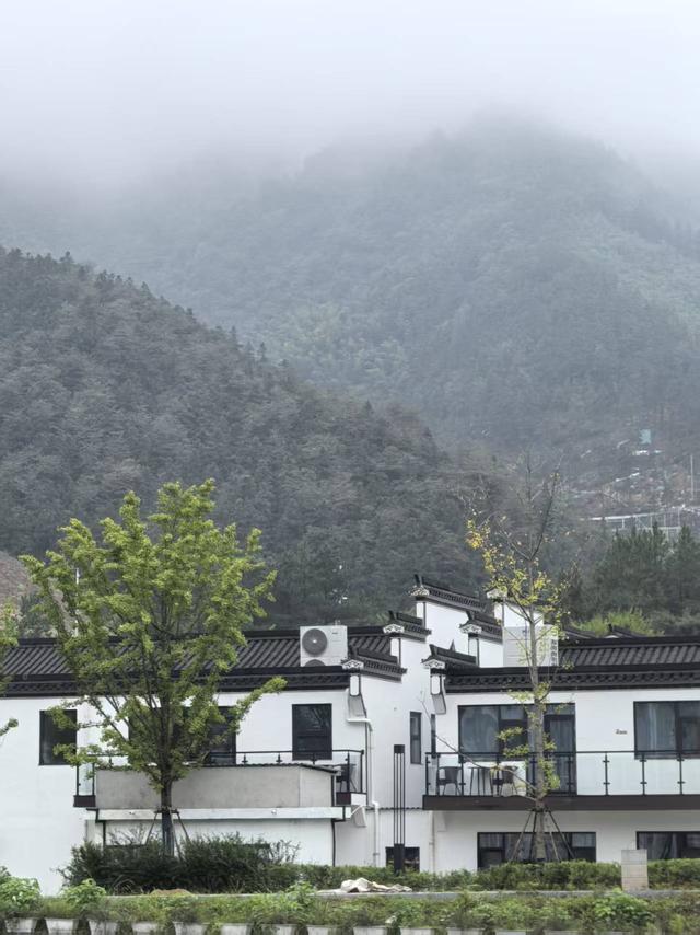 江苏省智能助老装备研究会精心组织康养交流徽州行系列活动