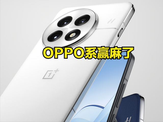 OPPO系赢麻了，上半年最热机型前10独占5款，小米苹果各2款