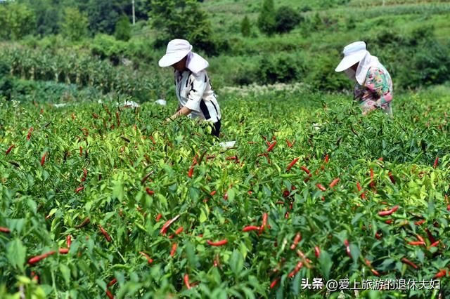 遵义市：被大娄山分割为两个遵义，除了酱香酒，还有很多宝贝呢！