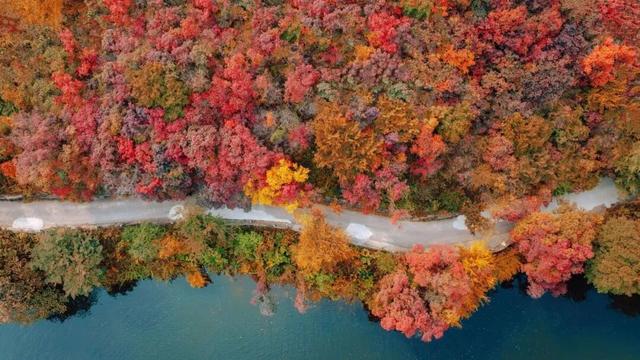 董宇辉向世界推荐，“请花几天时间去山东”！