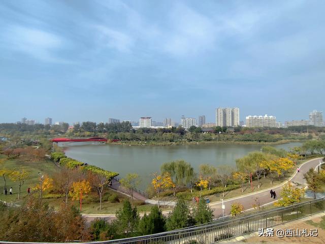 五线小城里的银杏大道，美翻全网的深秋景色原来在这里