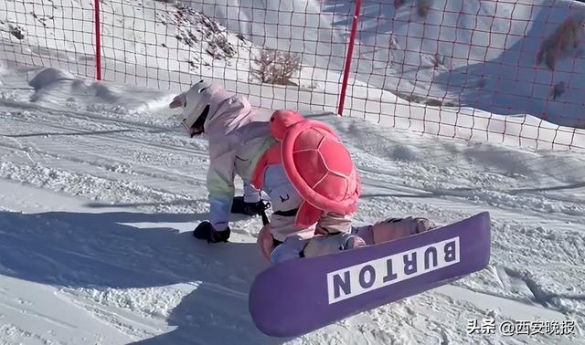 全红婵发滑雪视频，11秒里一跤接着一跤；网友：又心疼又好笑
