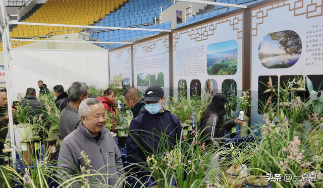 曾风靡全国的“骗局”	，却被捧上神坛炒到千万！如今白菜价没人要