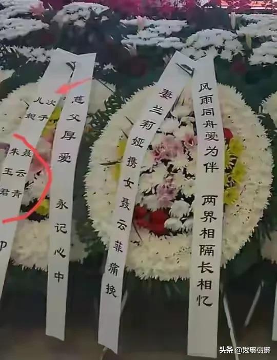 八宝山的雪漫天飞舞，寒冷刺骨，一场特殊的告别仪式在这里举行