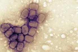 曾肆虐全球的夺命疾病，竟被人类这样征服图片